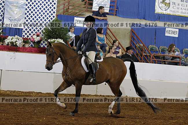 Proof 11r12_6176