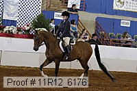 11r12_6176 proof