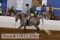 11r12_6181 proof