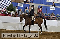 11r12_6182 proof