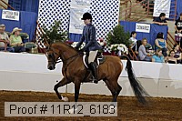 11r12_6183 proof
