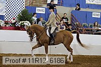 11r12_6186 proof