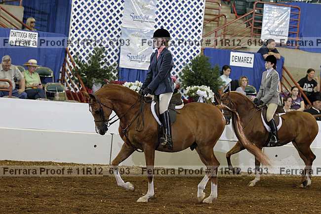 Proof 11r12_6193
