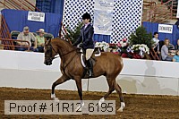 11r12_6195 proof