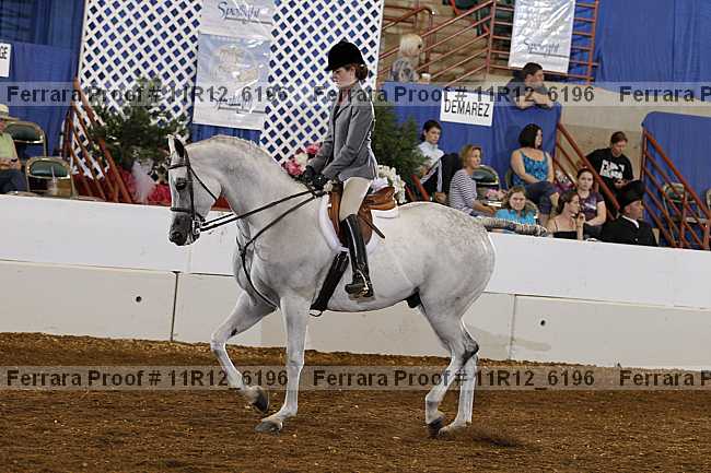Proof 11r12_6196