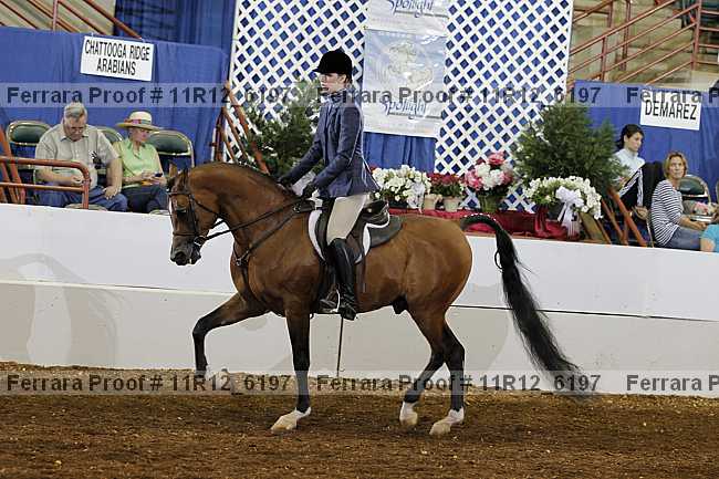 Proof 11r12_6197