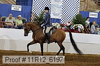 11r12_6197 proof