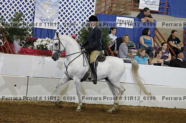 Proof 11r12_6199