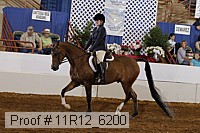 11r12_6200 proof