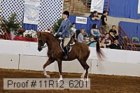 11r12_6201 proof