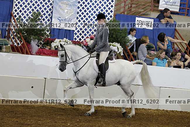 Proof 11r12_6202