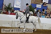 11r12_6202 proof