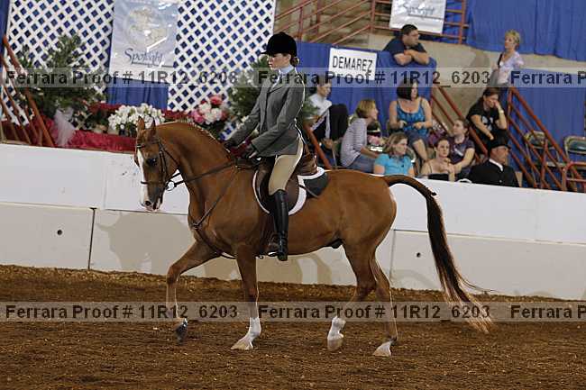 Proof 11r12_6203