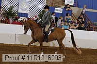 11r12_6203 proof