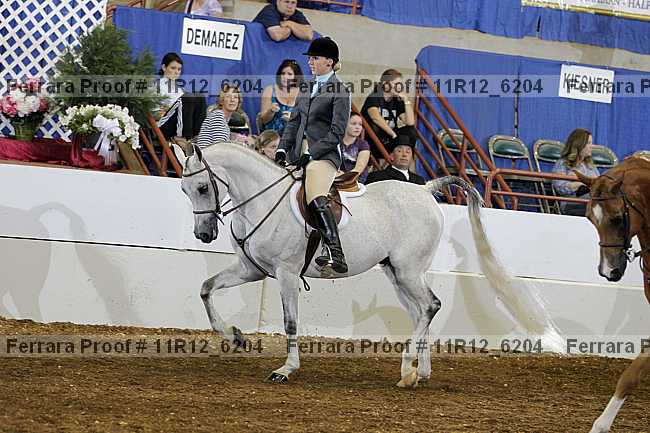 Proof 11r12_6204