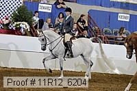 11r12_6204 proof