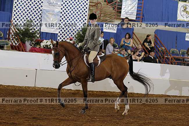 Proof 11r12_6205