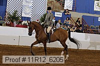 11r12_6205 proof