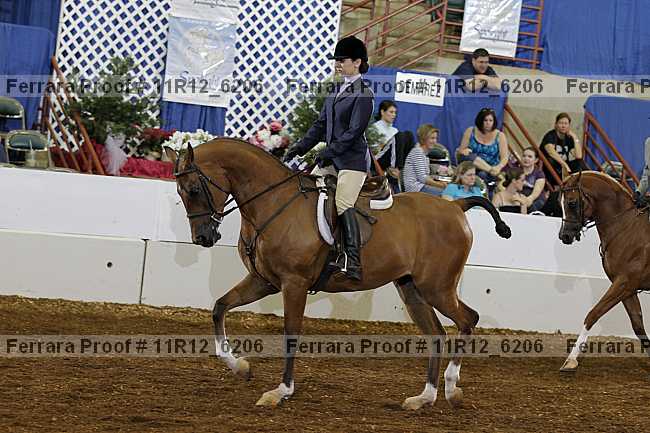 Proof 11r12_6206