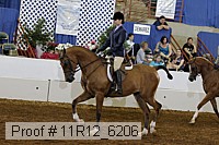 11r12_6206 proof