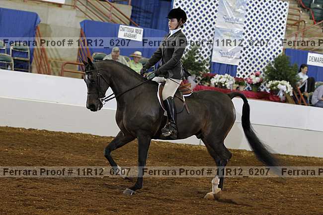 Proof 11r12_6207