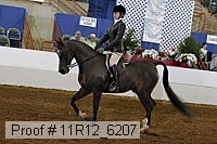 11r12_6207 proof