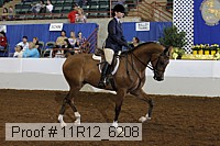 11r12_6208 proof