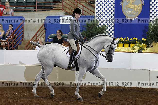Proof 11r12_6209