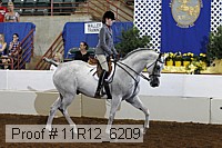 11r12_6209 proof