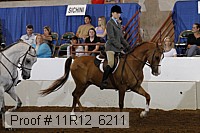 11r12_6211 proof