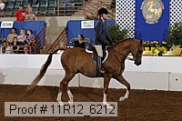 11r12_6212 proof