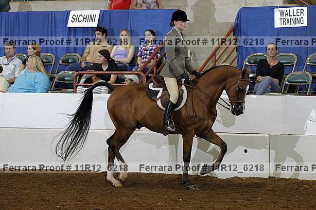 Proof 11r12_6218