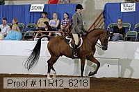11r12_6218 proof