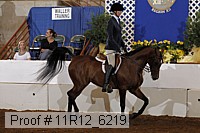 11r12_6219 proof
