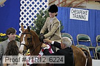 11r12_6224 proof