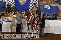 11r12_6227 proof