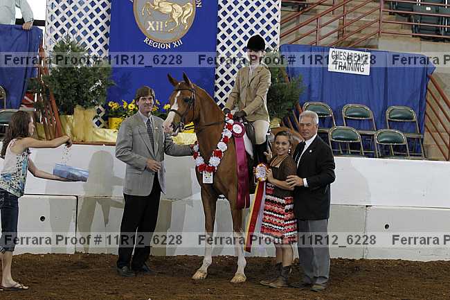 Proof 11r12_6228