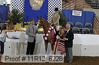 11r12_6228 proof