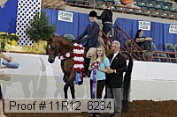 11r12_6234 proof