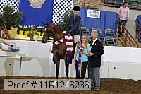 11r12_6236 proof