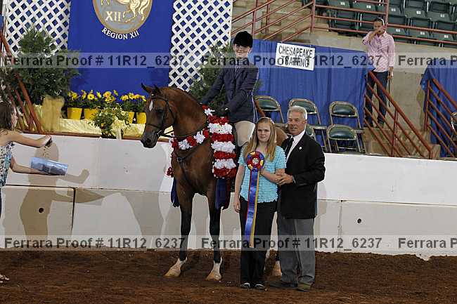 Proof 11r12_6237