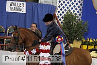 11r12_6238 proof