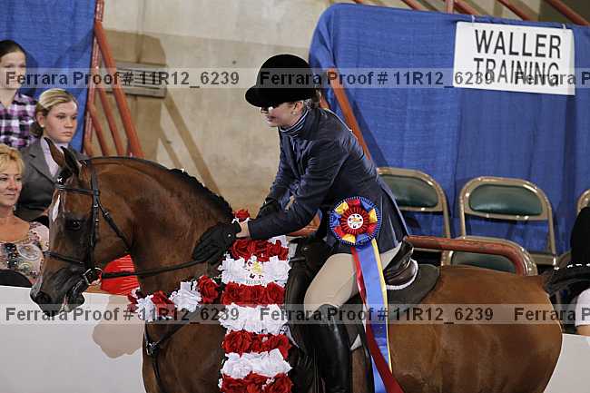 Proof 11r12_6239