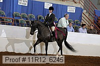11r12_6245 proof