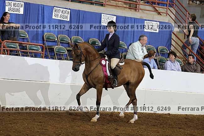 Proof 11r12_6249