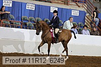 11r12_6249 proof
