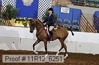 11r12_6251 proof