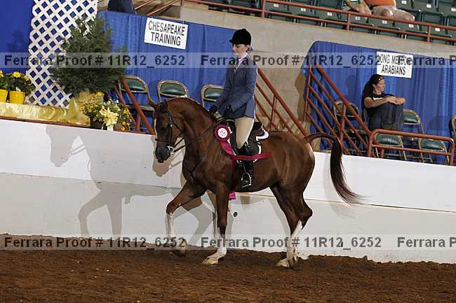 Proof 11r12_6252