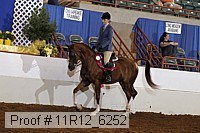 11r12_6252 proof