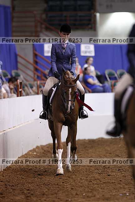 Proof 11r12_6253